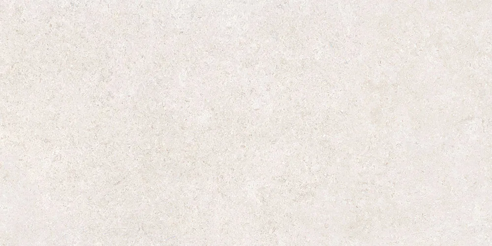 Белый Матовый 600×1200